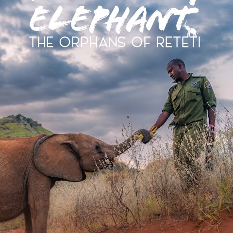 Becoming Elephant: The Orphans Of Reteti