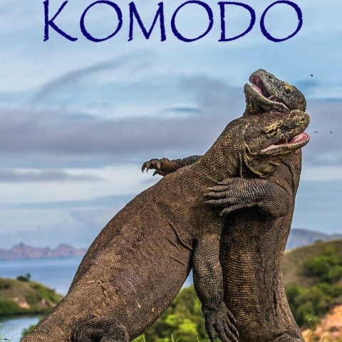 Waterwold of Komodo