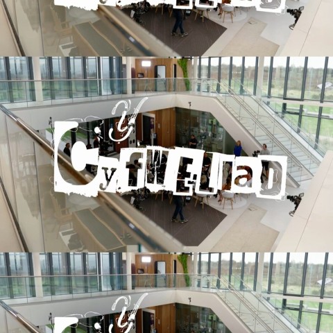 Y Cyfweliad
