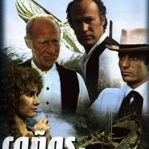 Cañas y Barro