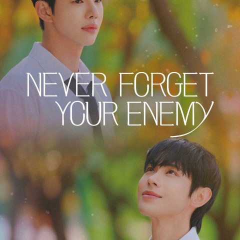 Never Forget Your Enemy