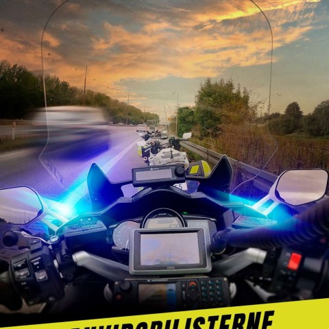 Vanvidsbilisterne