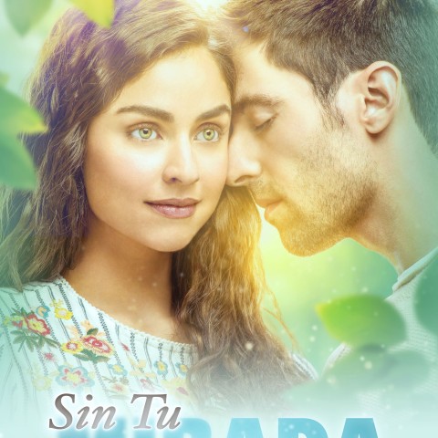 Sin Tu Mirada
