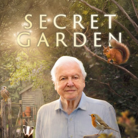 Secret Garden