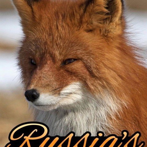 Russia's Wild Sea