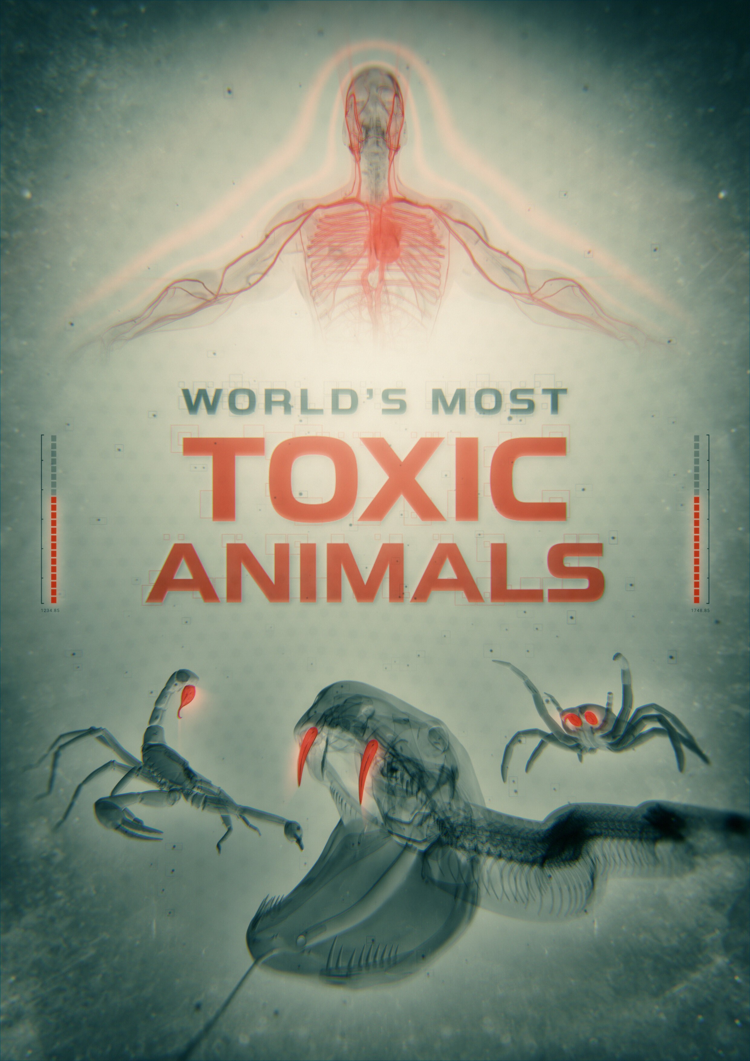 Animal toxic. The most Toxic animal presentations.